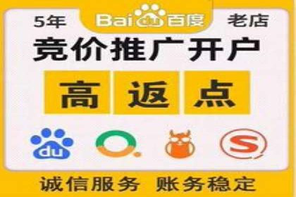 百度竞价推广经典案例解读